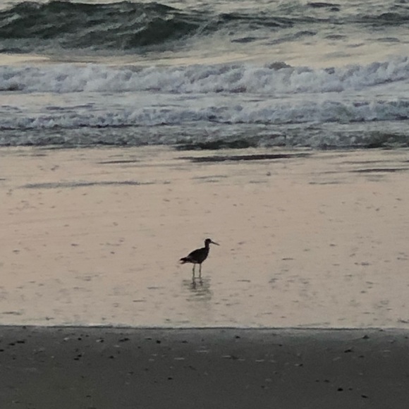 Meet your Posher, Alison - Picture 1 of 1